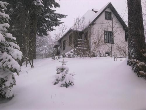 Outdoor Pictures 5