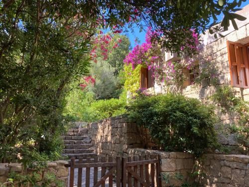 Domus Olivarum - Costa Smeralda 6 guest, 3 room, 2 bathroom, 2 parking Wifi