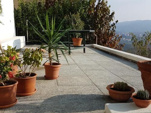 Outdoor Pictures 3
