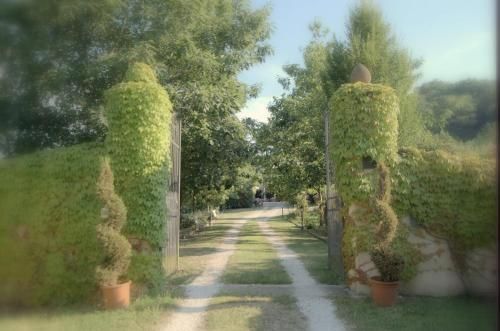 Outdoor Pictures 4