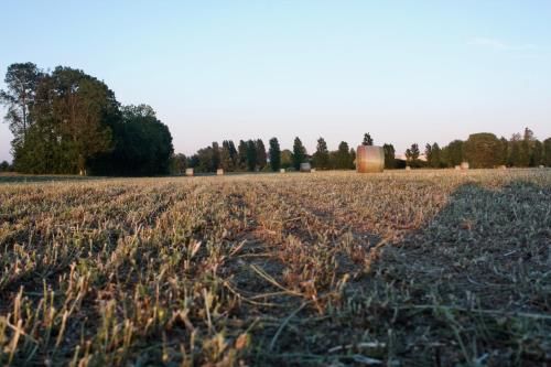 Outdoor Pictures 16