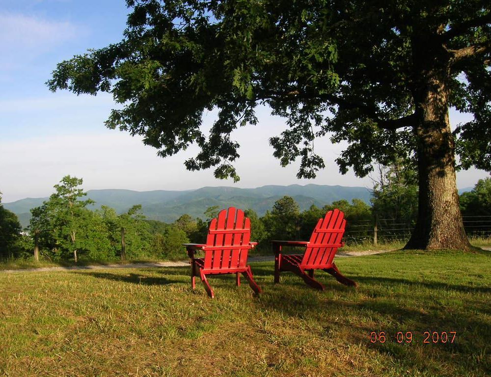 Outdoor Pictures 4