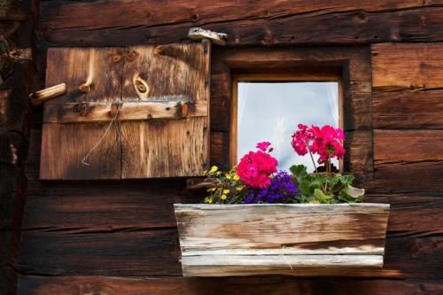 Outdoor Pictures 3
