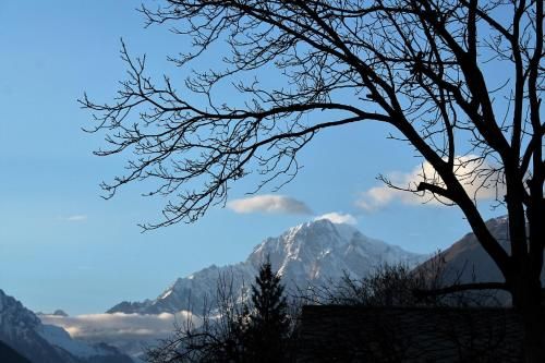 Outdoor Pictures 1