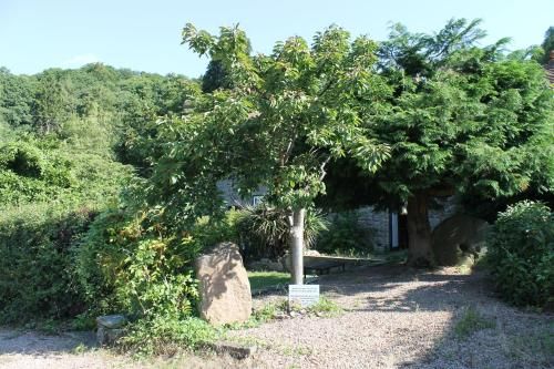 Coach House Cottages