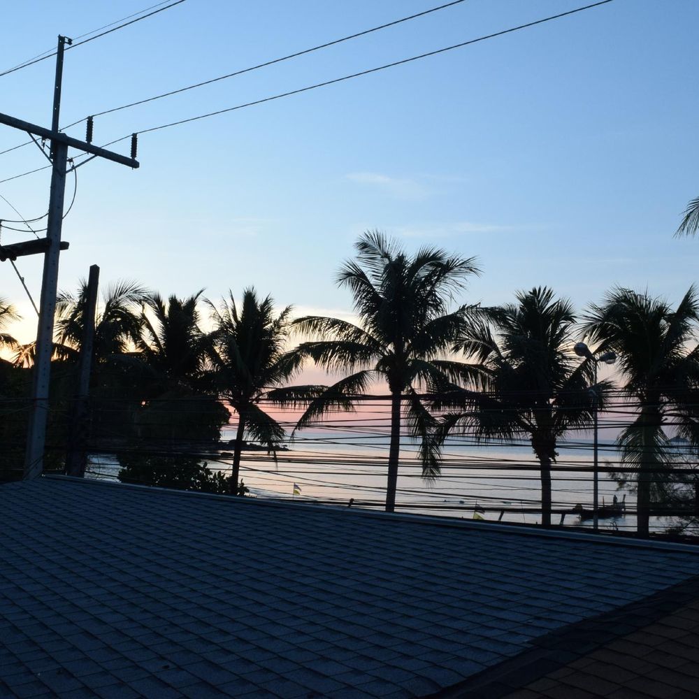 Outdoor Pictures 1