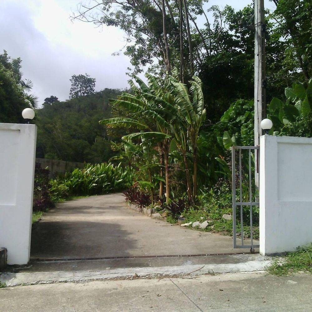 Outdoor Pictures 1