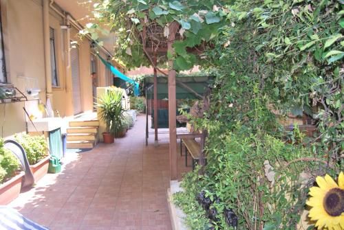 Outdoor Pictures 1