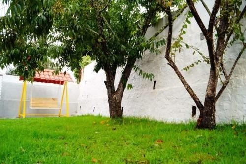 Outdoor Pictures 2
