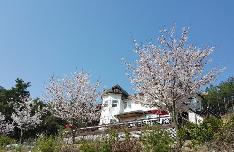 Gyeongju Todarun Saesang Pension