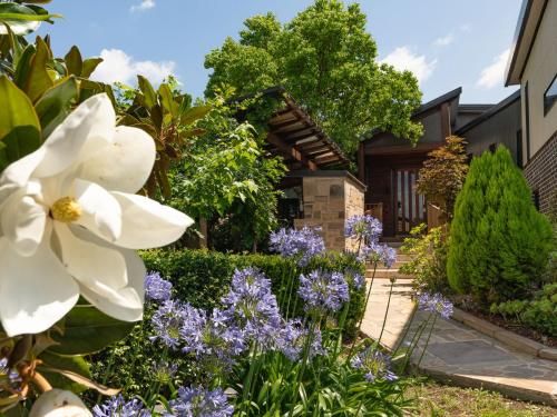 Millfield Eco Lodge with views, and inside/outside hangouts