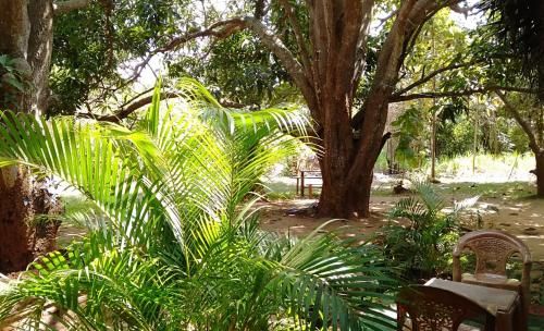 Hotel Sigiri Nature Garden