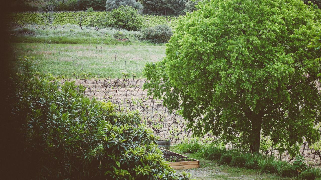 Domaine de Salente