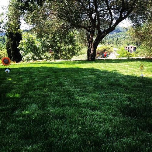 Outdoor Pictures 1