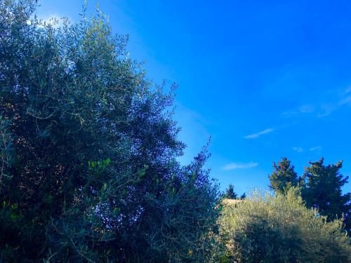 Outdoor Pictures 2