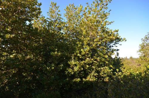 Outdoor Pictures 1