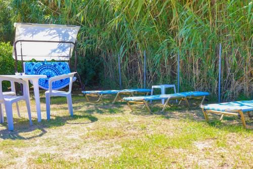 Outdoor Pictures 8