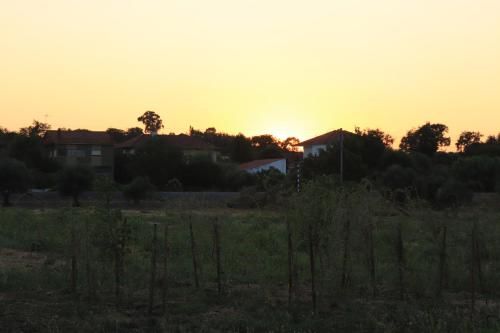 Outdoor Pictures 2