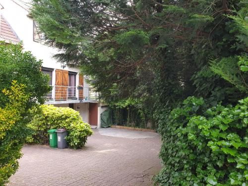 Outdoor Pictures 1