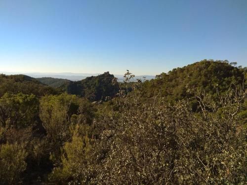 Guest House Castillo El Real
