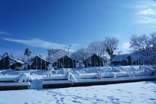 eZZenza JUNGLE LIVINN RESORTS