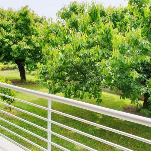Outdoor Pictures 1