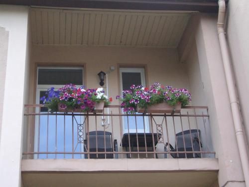 Outdoor Pictures 1