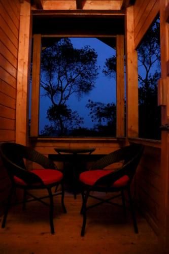 Outdoor Pictures 5