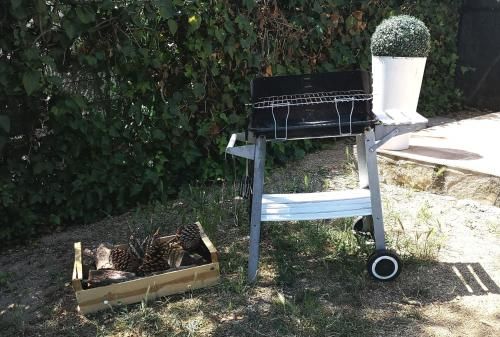 Outdoor Pictures 5