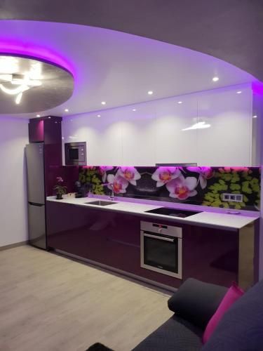 Dary Rent Orquidea