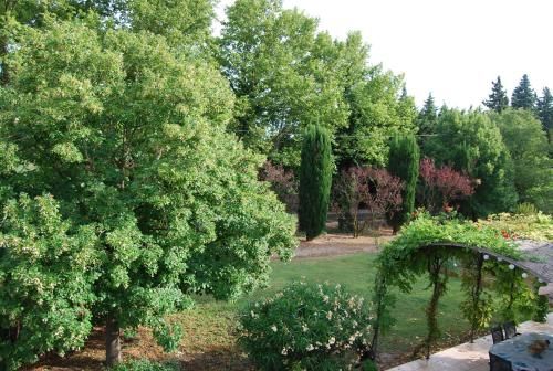 Outdoor Pictures 4