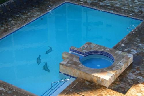 Outdoor Pictures 1