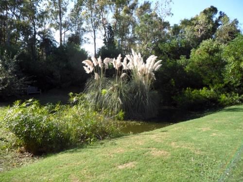 Outdoor Pictures 1