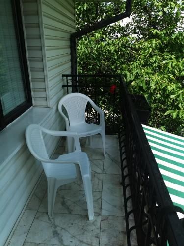 Outdoor Pictures 4