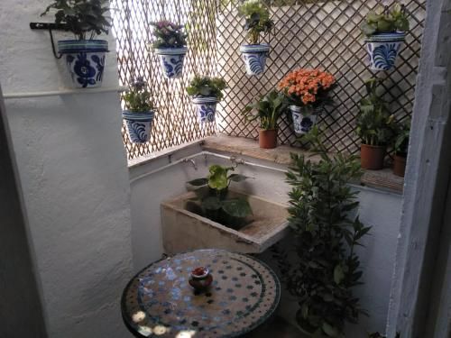 BENDITA CASA