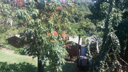 Outdoor Pictures 5
