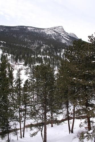 Outdoor Pictures 1