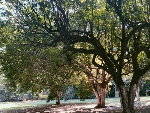 Outdoor Pictures 7