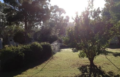 Outdoor Pictures 2