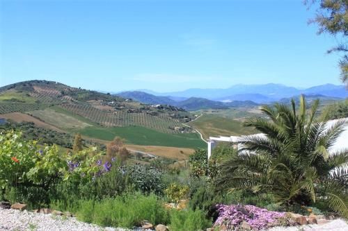 Cerro Brae