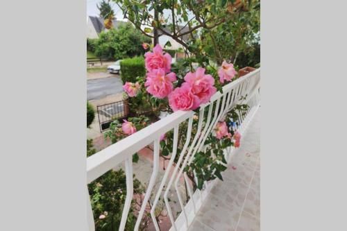 Outdoor Pictures 1