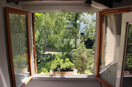 Outdoor Pictures 10