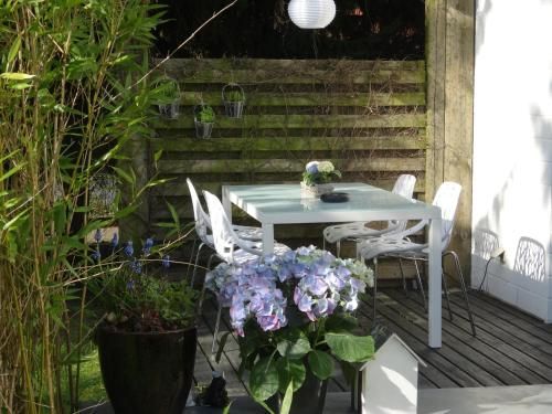 Outdoor Pictures 15