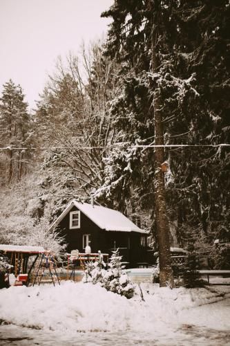 Outdoor Pictures 5