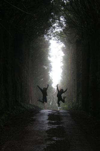 Outdoor Pictures 3
