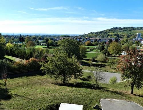 Outdoor Pictures 1