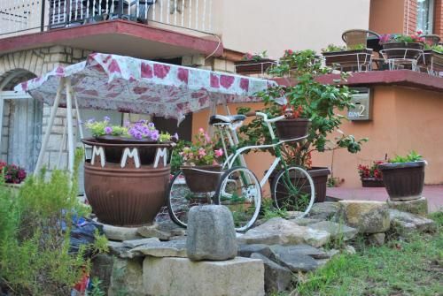 Outdoor Pictures 1