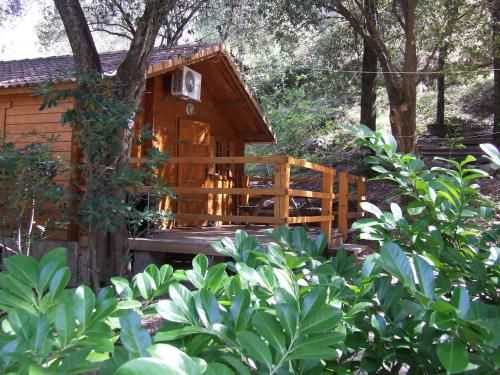 Outdoor Pictures 1