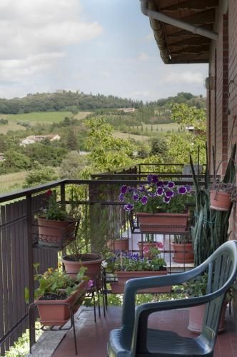 Outdoor Pictures 3