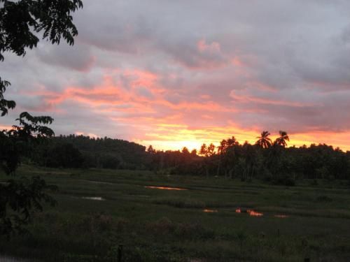 Nature Retreat with Healing Dogs in Brazil